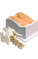 Инъекционные фантомы