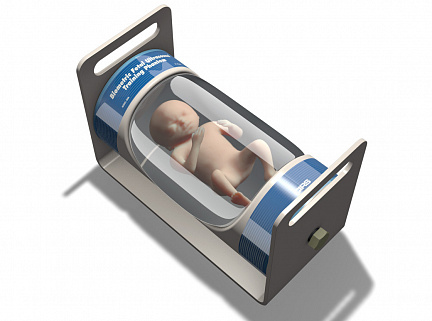 Фетальный ультразвуковой фантом FTB Fetal Ultrasound Training & Biometric Phantom